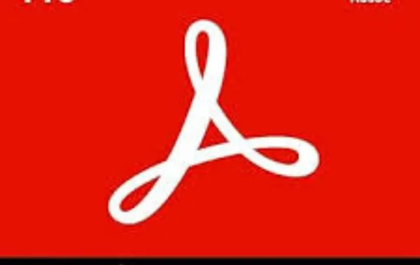 Adobe Lizenzen