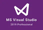 MS Visual Studio 2019 Professional
