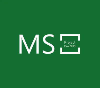MS Project Professional 2019 Bind