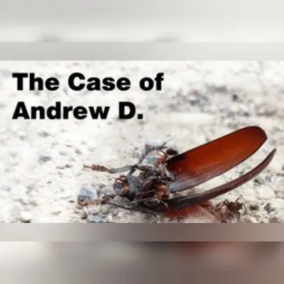The Case of Andrew D. (PC) Steam Gift