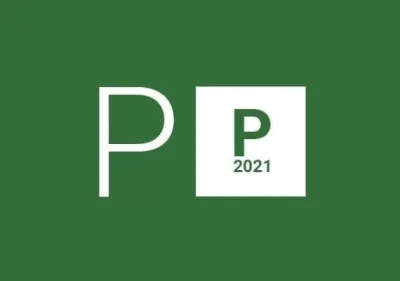 Project Professional 2021